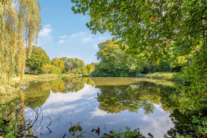 Bekijk foto 5 van Middelhof 55