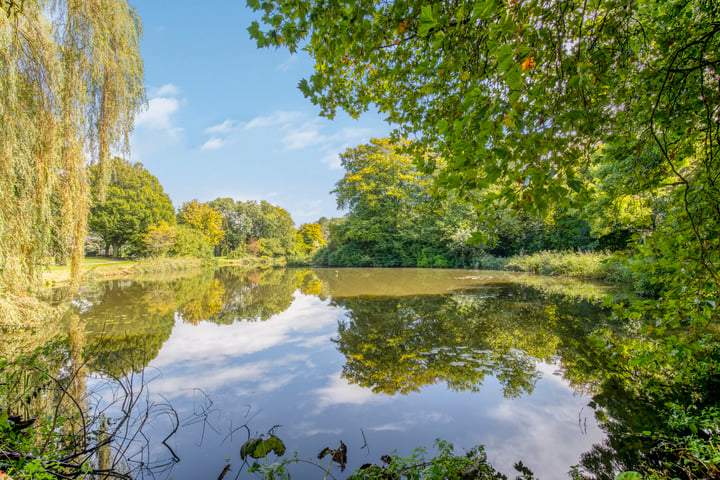 Bekijk foto 42 van Middelhof 55