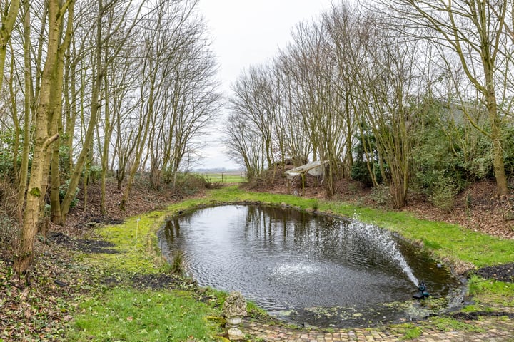 Bekijk foto 2 van Hoofdweg 113