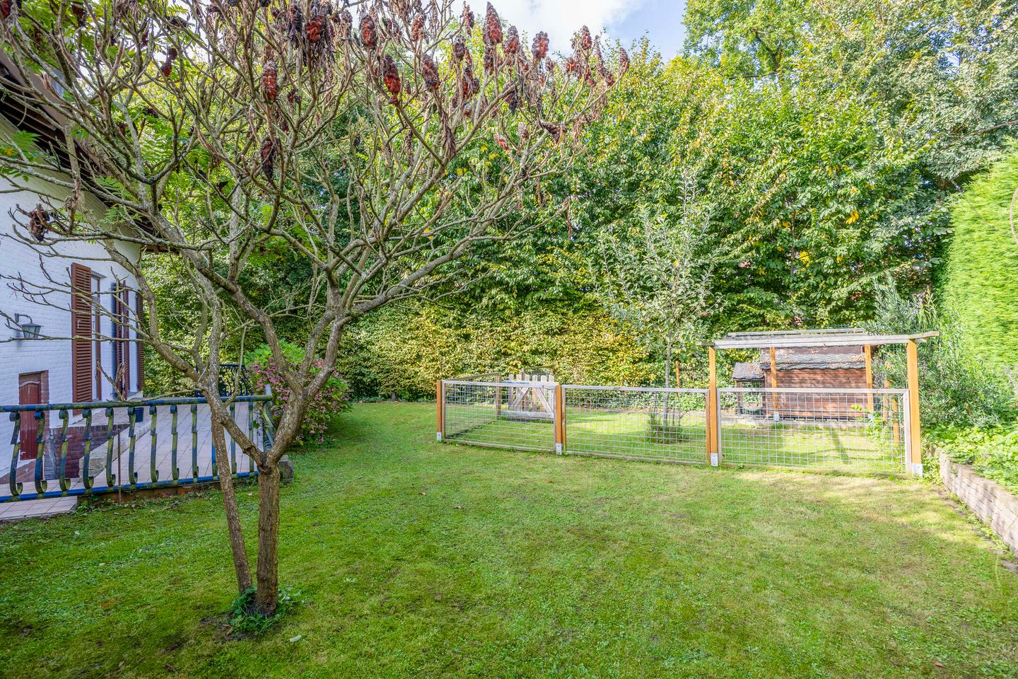 Foto 35 van Gerbergaplantsoen 1