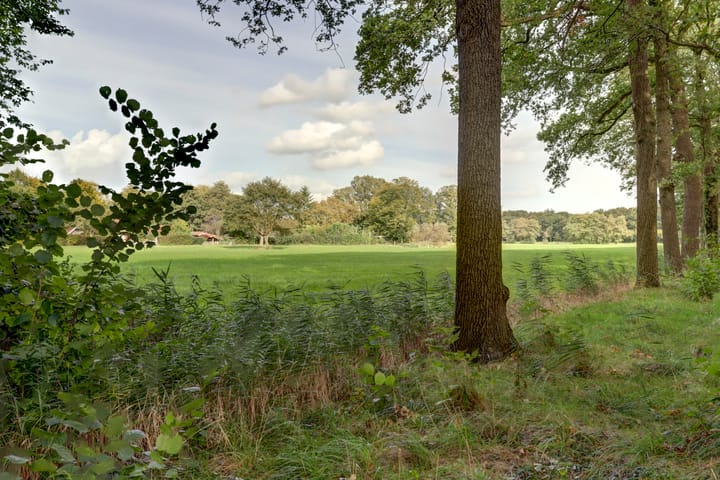 Foto 3 van Van der Waalslaan 1