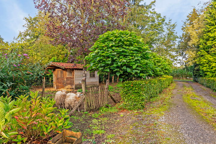 Photo 41 of Pater Visserslaan 10-A