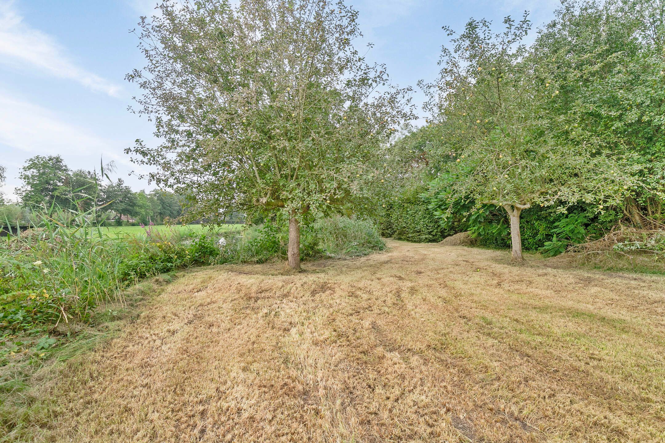 Foto 33 van Noorderpad 19