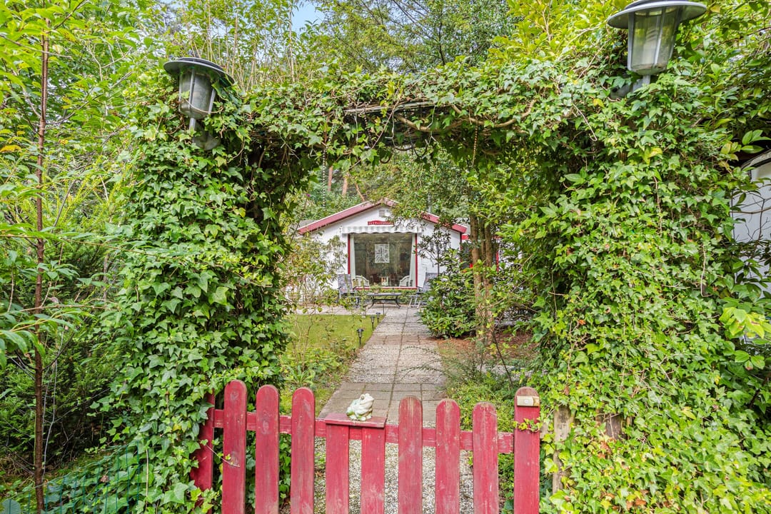 Foto 2 van Kievit 12-B172