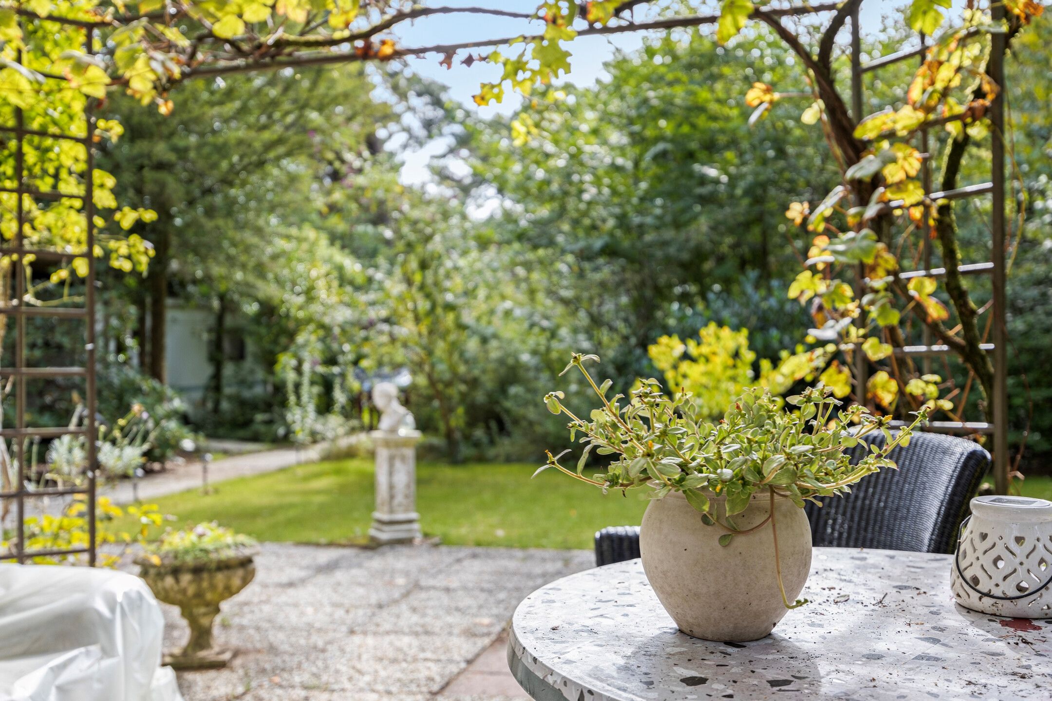 Foto 24 van Kievit 12-B172