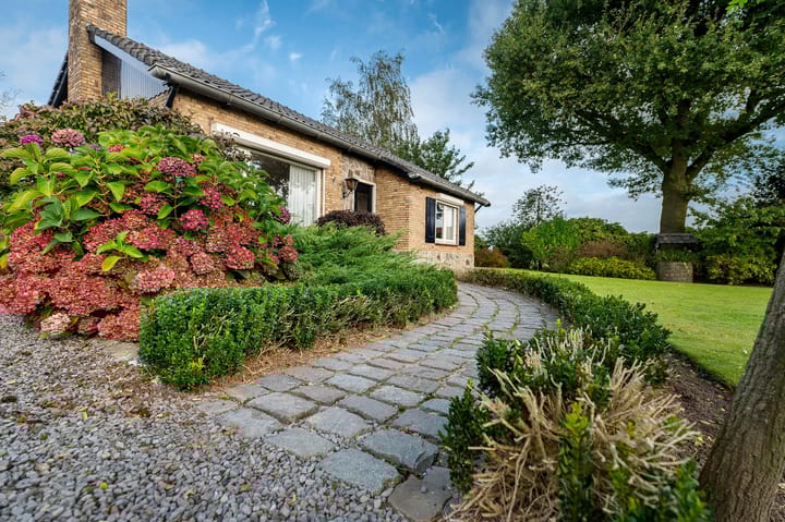 Foto 9 van Herelsestraat 205