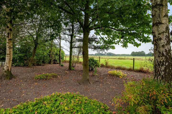 Foto 35 van Herelsestraat 205