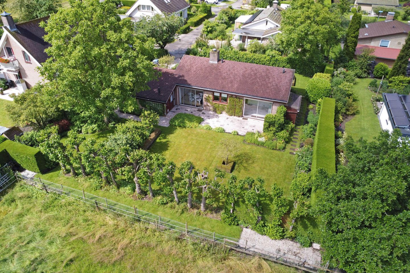 Foto 1 van Appellaan 3