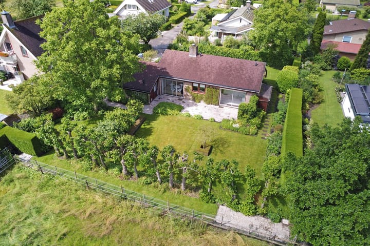 Photo 1 of Appellaan 3