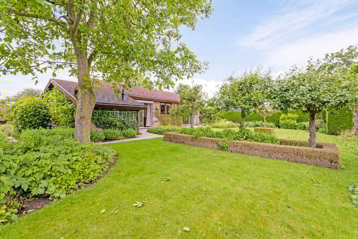 Foto 2 van Appellaan 3