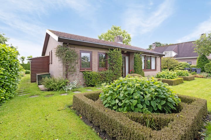 Photo 20 of Appellaan 3