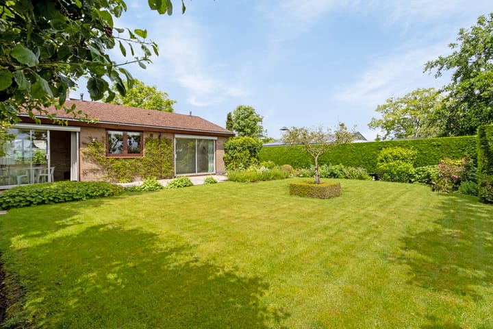 Photo 21 of Appellaan 3