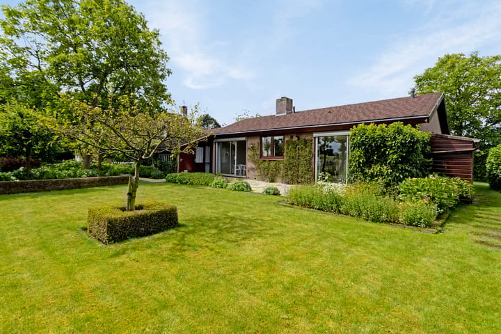 Photo 23 of Appellaan 3