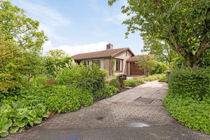 Foto 3 van Appellaan 3