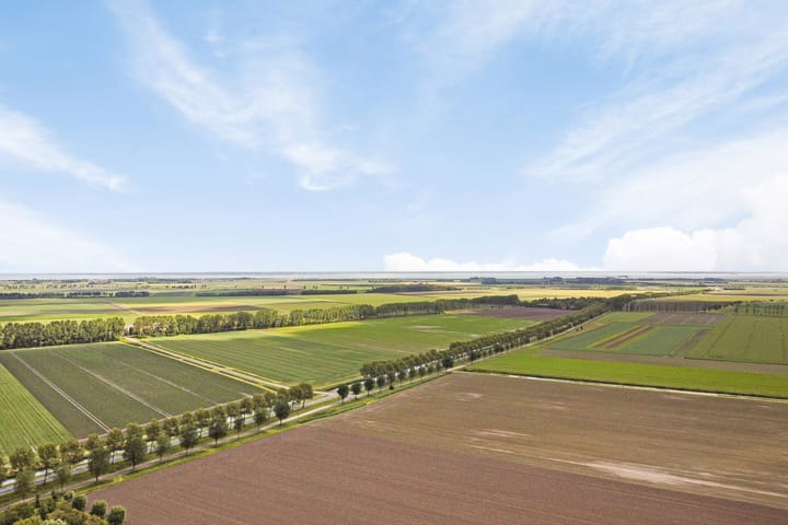 Photo 28 of Appellaan 3