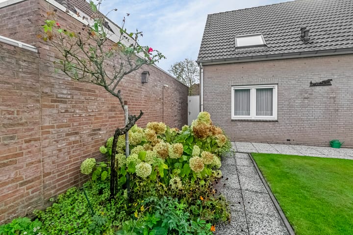 Foto 35 van De Beuk 17