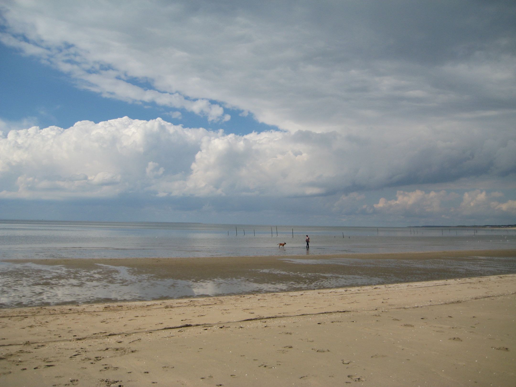 Foto 36 van Duinweg 4