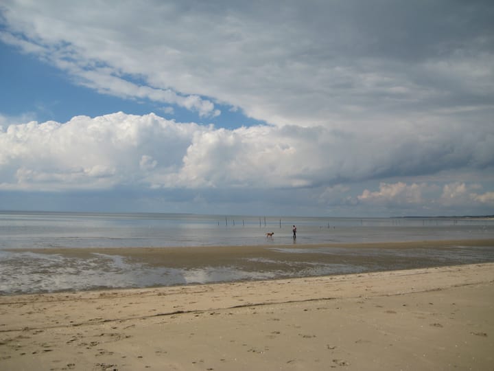 Foto 36 van Duinweg 4