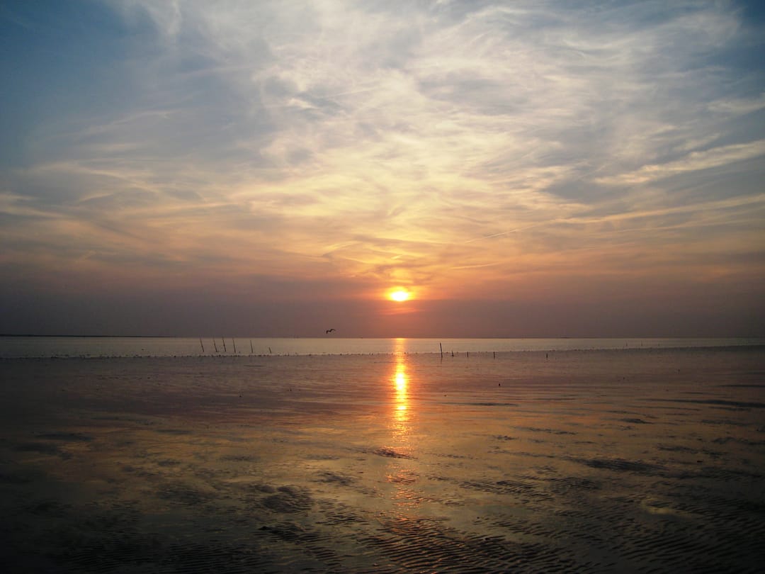 Foto 37 van Duinweg 4