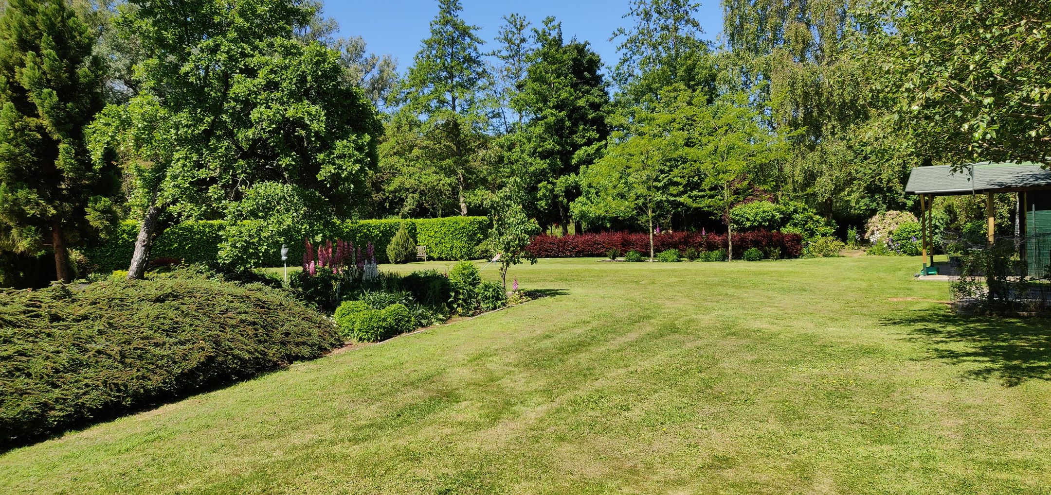 Foto 39 van Duinweg 4