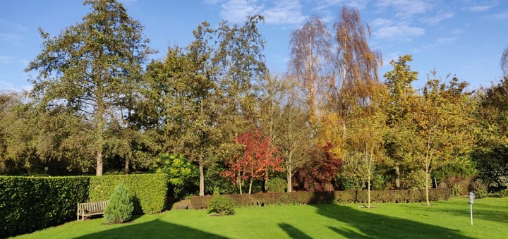 Foto 40 van Duinweg 4