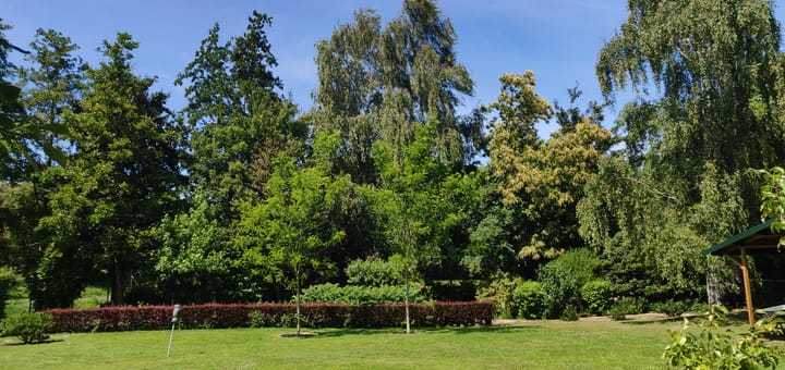 Foto 42 van Duinweg 4