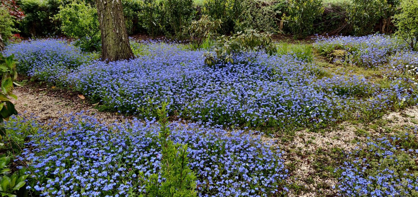 Foto 44 van Duinweg 4