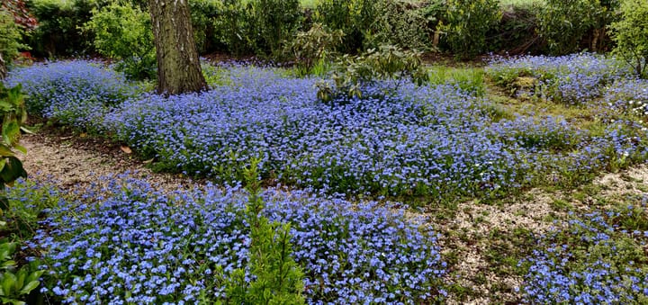 Foto 44 van Duinweg 4