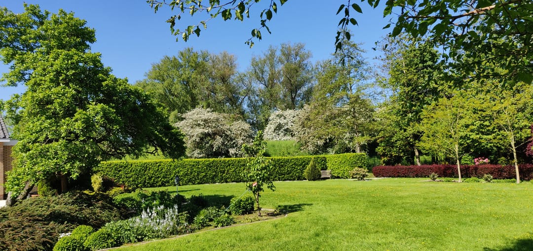 Foto 46 van Duinweg 4