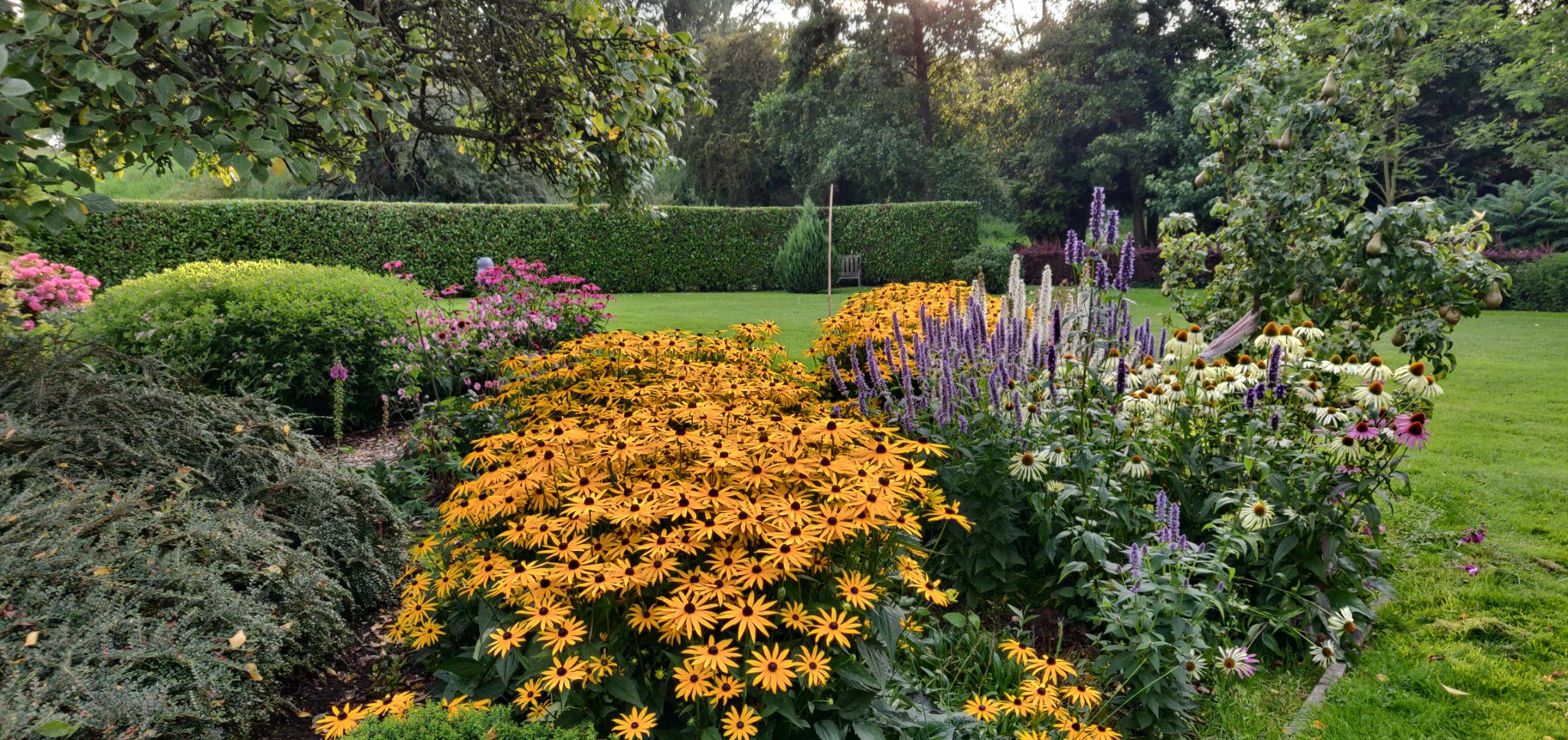 Foto 48 van Duinweg 4