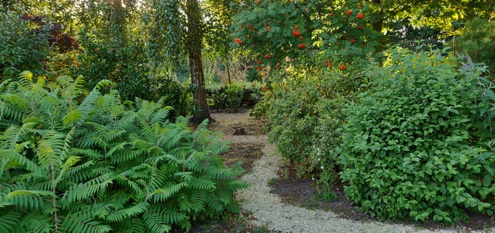 Foto 49 van Duinweg 4