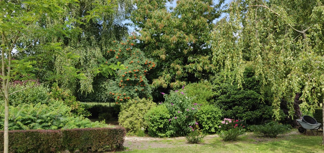 Foto 52 van Duinweg 4