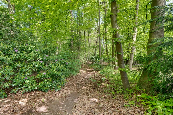 Photo 47 of Vossenlaan 41