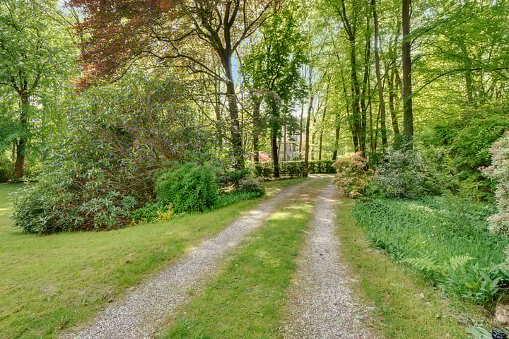 Photo 50 of Vossenlaan 41