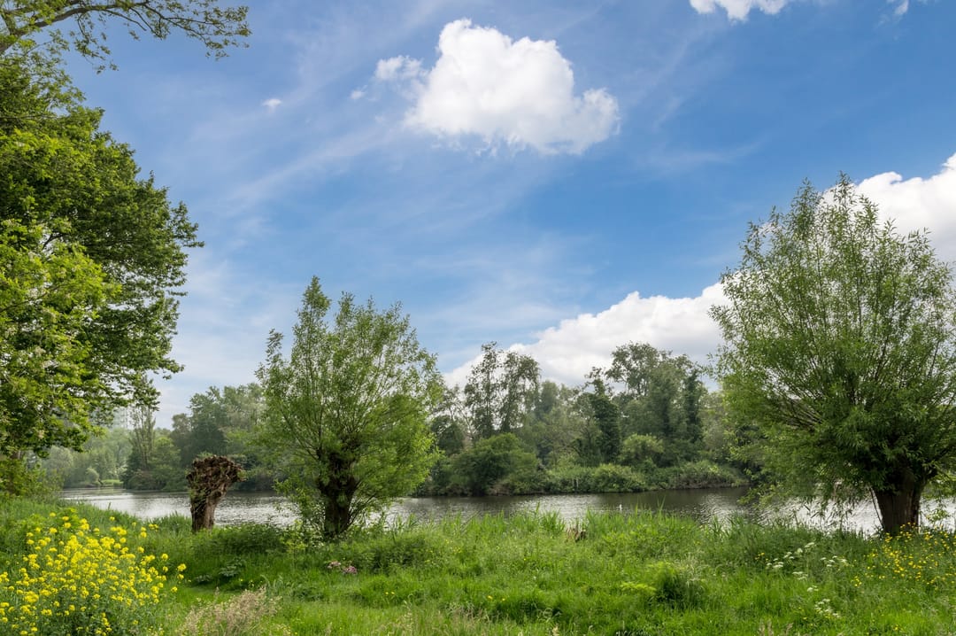 Foto 47 van Jachtenlaan 8