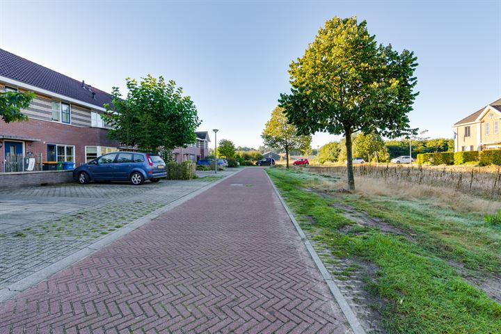 View photo 50 of Knibbelweide 79