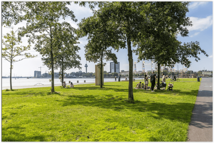 Bekijk foto 47 van Landverhuizersplein 125