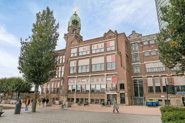 Bekijk foto 48 van Landverhuizersplein 125