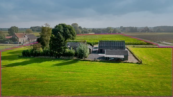 Foto 49 van Herelsestraat 205