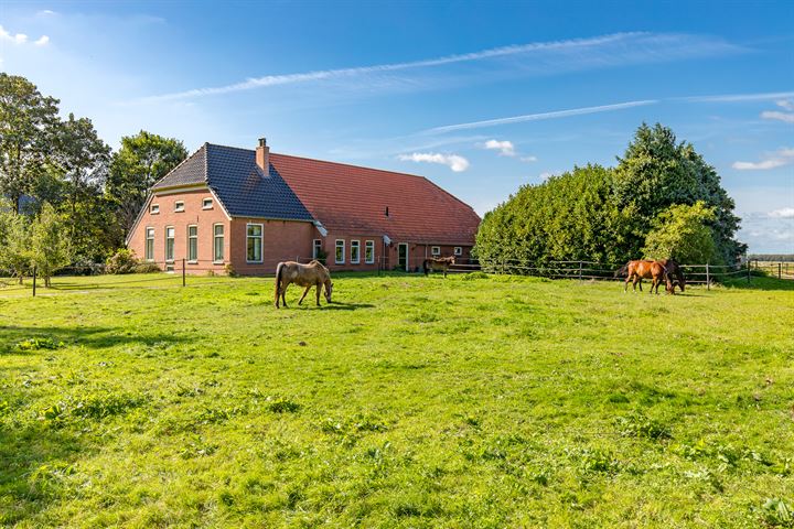 Bekijk foto 2 van Noorderdiep 13