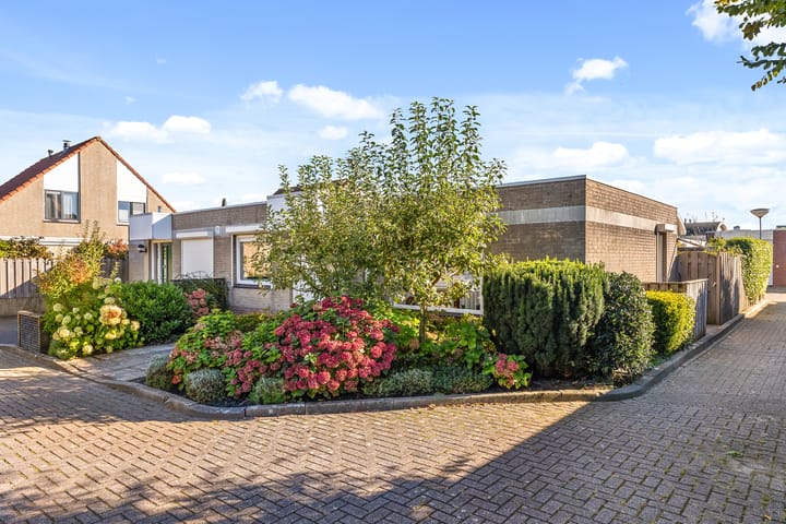 Foto 1 van Rosa Manuslaan 3