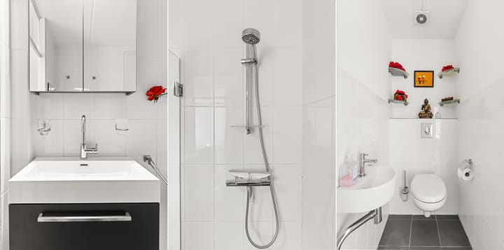 Foto 16 van Rosa Manuslaan 3