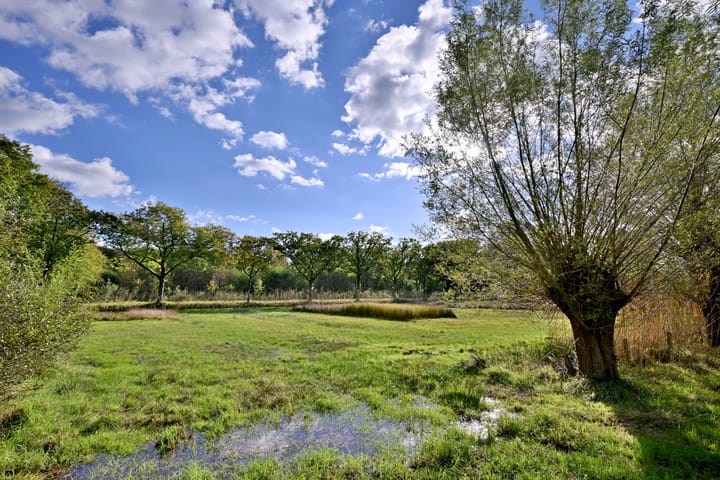 Foto 4 van Knoevenoordstraat 40