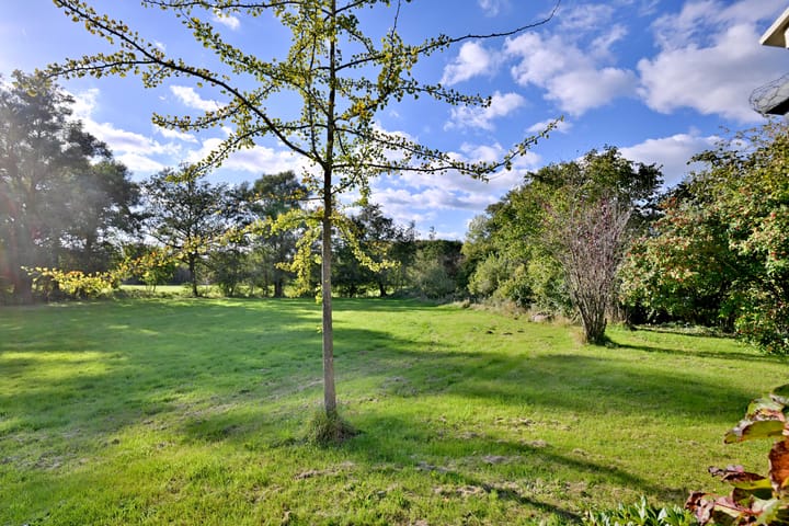 Foto 33 van Knoevenoordstraat 40