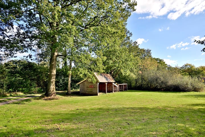 Foto 43 van Knoevenoordstraat 40