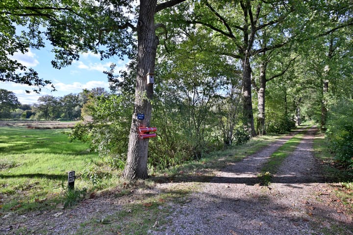 Foto 48 van Knoevenoordstraat 40