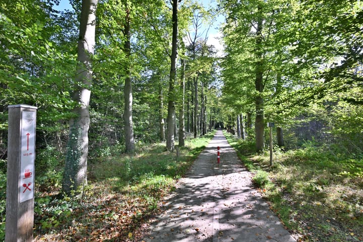 Foto 50 van Knoevenoordstraat 40