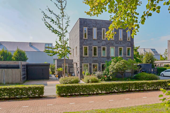 undefined main image