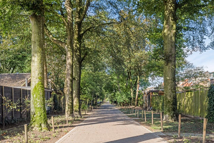 Foto 55 van Tesselschadelaan 33