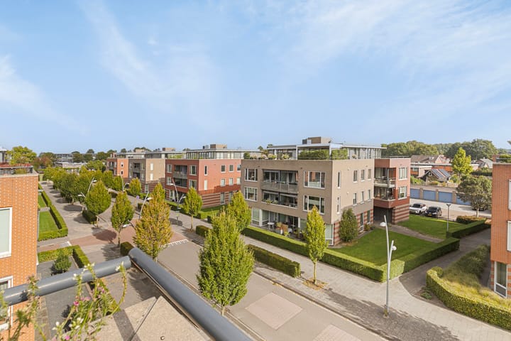 Foto 25 van Lobeliastraat 41